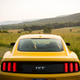 Illustration for article titled I Can’t Decide Between A New Ford Mustang GT Or An Old Boss 302